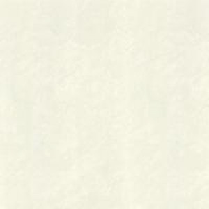 Gạch Trường Thịnh GRANITE EFFECT JT0803